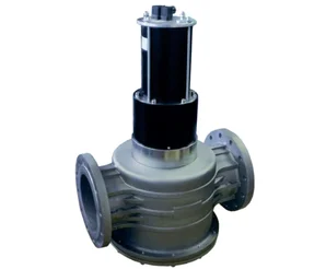 Газовый электромагнитный клапан Madas EVPF120067 308